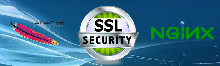 Nginx Apache SSL настройка